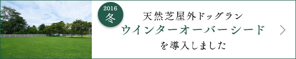 天然芝屋外ドッグランウインターオーバーシードを導入しました