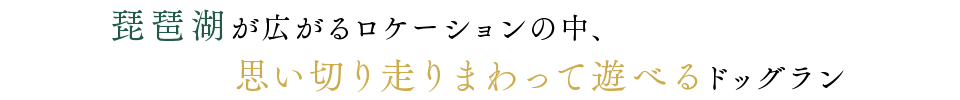 琵琶湖が広がるロケーションの中、思い切り走りまわって遊べるドッグラン