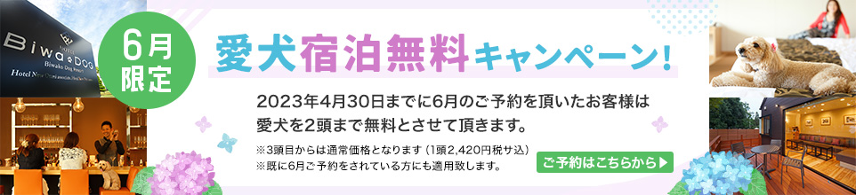 6月限定 愛犬宿泊無料キャンペーン