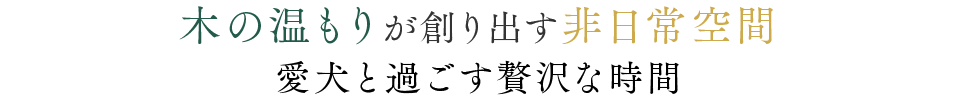 木の温もりが創り出す非日常空間。愛犬と過ごす贅沢な時間