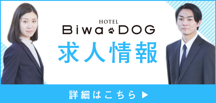 求人情報