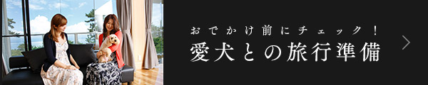 愛犬との旅行準備
