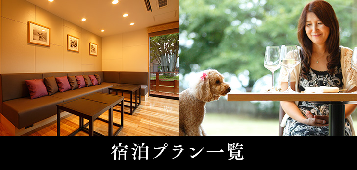 宿泊プラン一覧