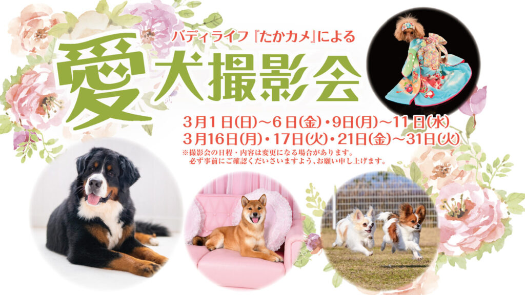 『バディライフ たかカメ』による愛犬撮影会!3月1日(日)〜6日(金)・9日(月)〜11日(水)
3月16日(月)・17日(火)・21日(金)〜31日(火)